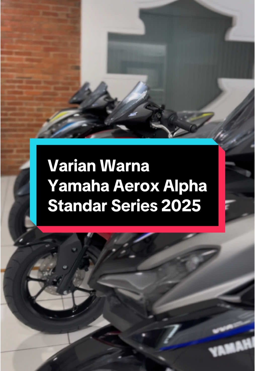 Hai brosis !!! Berikut varian lengkap Yamaha Aerox Alpha Standar Series 2025. Sebelum unitnya habis kita videokan dulu 😭 #aerox #aeroxalpha #aeroxturbo 