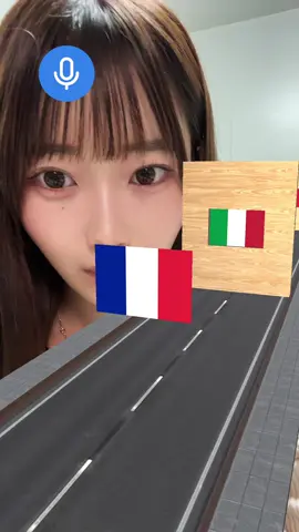 国旗の発音ゲームやってみた。まず国旗がどこなのか分からなかった笑 ・ I'm Japanese. We tried a game to pronounce the flags of countries around the world.  #game #国旗 #勉強 #english 
