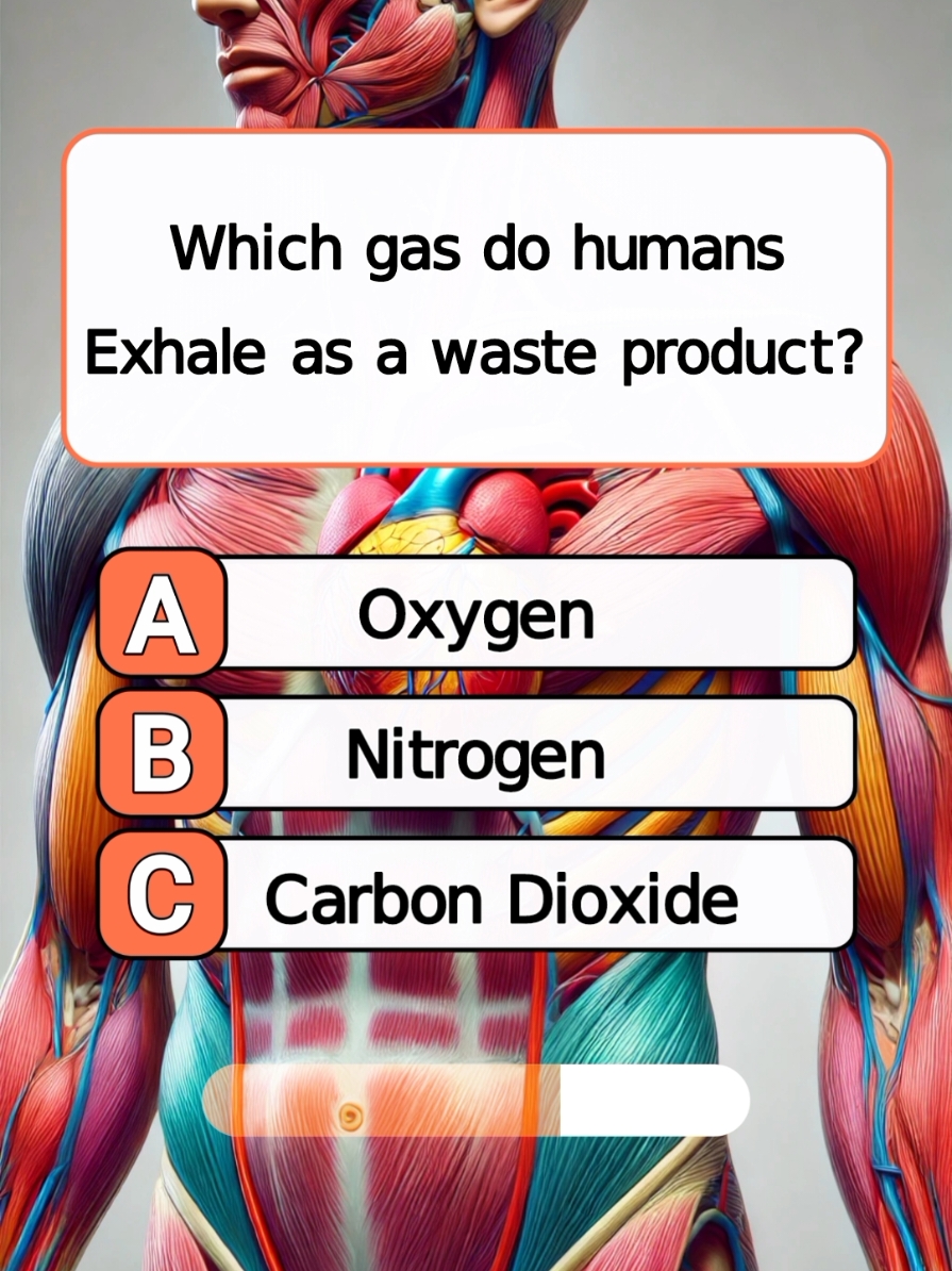 can you get 5/5? #quiz #quiztime #quizgame #quizchallenge #quizshow #quizz #quizzes #quizfun #funquiz #Englishquiz #biology #biologyquiz #trivia #triviachallenge #braintest #brainteaser #Generalknowledge #generalknowledgequiz #doyouknow #learn #learning #LearnOnTikTok #knowledge #information #fyp #viral 