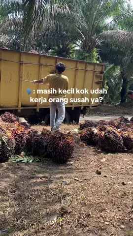 😇#kulisawitriau #storysawit🌴🌴 #sawitontiktok #fyp 
