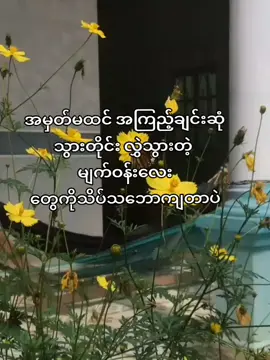 #ဂျေ #fypシ #foryou #fypシ゚viral #moots? #zyxcba 