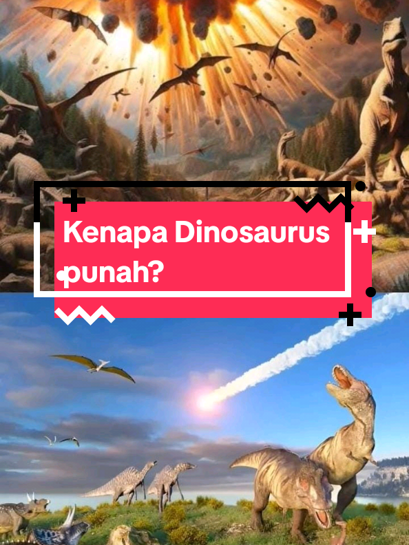 kenapa Dinosaurus bisa punah?🤔 Dinosaurus punah karena hantaman asteroid besar dan aktivitas vulkanik yang terjadi sekitar 66 juta tahun yang lalu.  Penjelasan: 1.Asteroid Chicxulub yang berdiameter 9,6 km menghantam perairan di wilayah yang sekarang disebut Meksiko.Hantaman asteroid ini menyebabkan musim dingin ekstrem, langit gelap, dan tanaman berhenti berfotosintesis.   2.Aktivitas vulkanik yang hebat di Deccan Traps, India, juga turut berperan dalam kepunahan dinosaurus.   3.Perubahan iklim yang disebabkan oleh pemanasan dan pendinginan yang cepat membuat spesies tidak mampu beradaptasi.   4.Tingginya kadar belerang di atmosfer menyebabkan hujan asam dan pengasaman laut, yang mematikan tanaman.   Meski dinosaurus punah, ada beberapa makhluk hidup yang berhasil bertahan dan berevolusi menjadi hewan dan burung modern. #dinosaurus #history #fyp #HE #dinosaurus #history #fyp #HE 