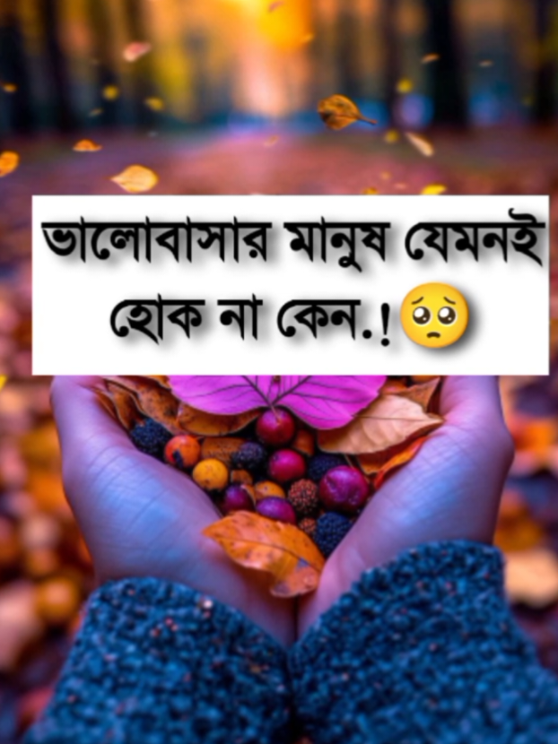 ভালোবাসার মানুষ যেমনই হোক না কেন#fypp #foryour #foryoupageofficiall #tiktokindia #tiktokviral @🍁 শুনেছো প্রিয় 🍁 