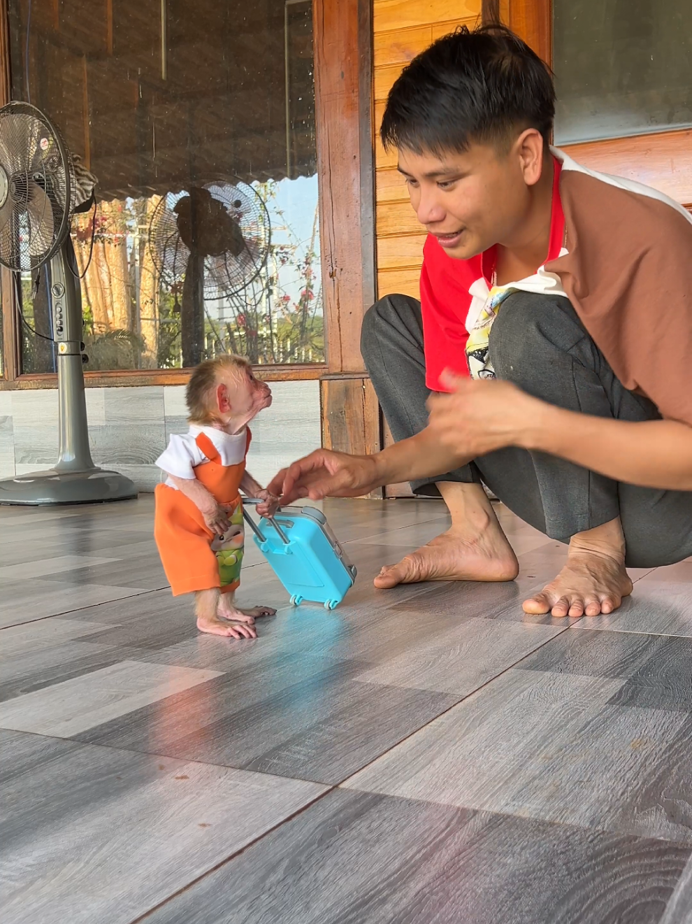 Cute baby monkey Moon listens to her father's instructions! #monkey #babymonkey #monkeydluffy #monkeysoftiktok #usa_tiktok 