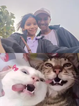 #CapCut #fppppppppppppppppppp #👩‍❤️‍👩🦋✨ #မေ့နေကြပီလား😪😪 ချိန်တွေ့တိုင်းလဲရန်တွေဖြစ်😂 