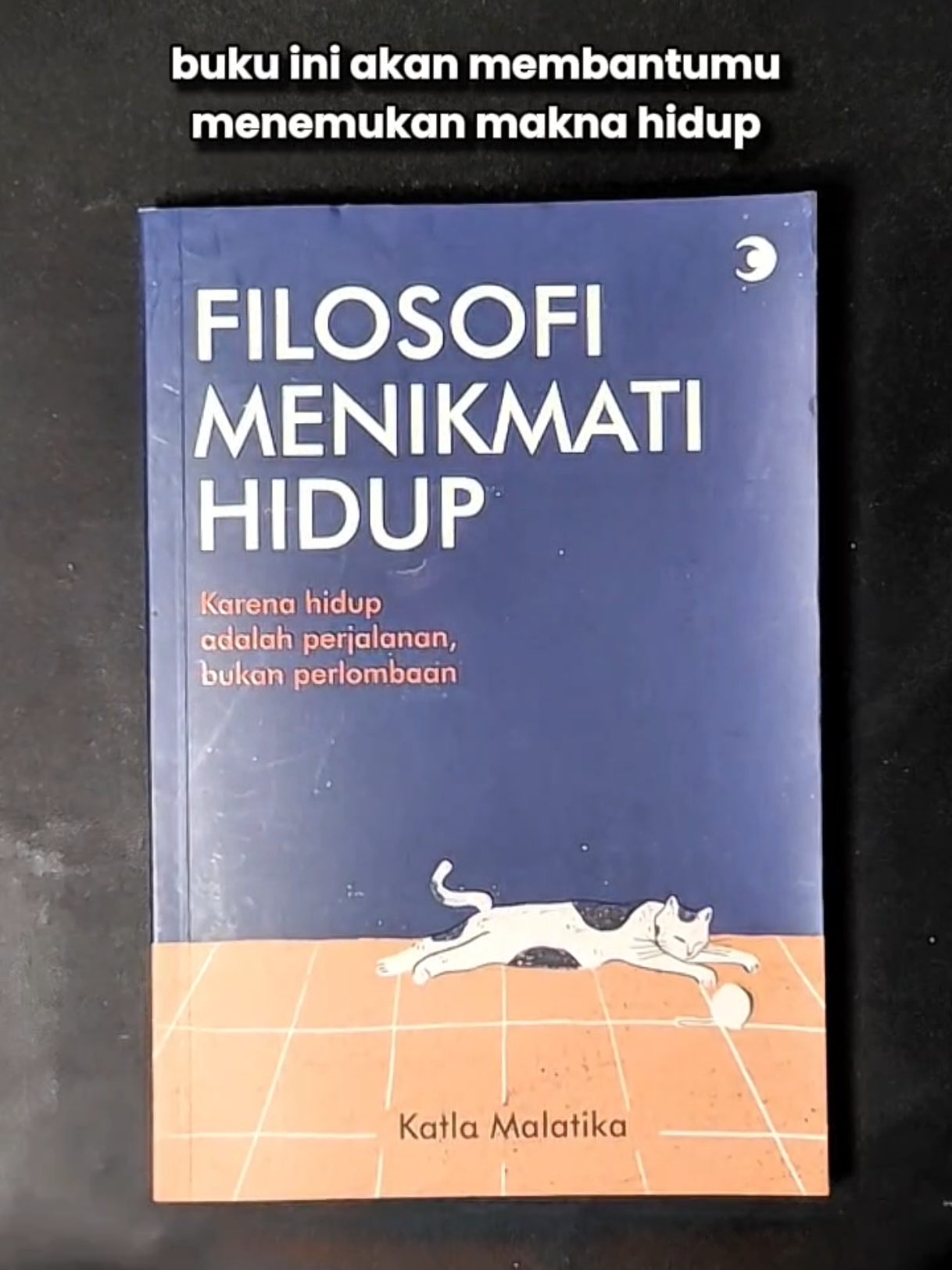 filosofi menikmati hidup 📚 #rekomendasibuku #filosofikehidupan #selfimprovement #bukufilsafat 