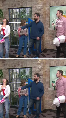 Oh, Tommy... 😂 Tommy & Brooke gave Hobby Horsing a go this morning. Poor Tommy took a tumble. 🏇😂 #IrelandAM