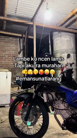 Sunat larang” kok musuh barang murahan🤣🤣