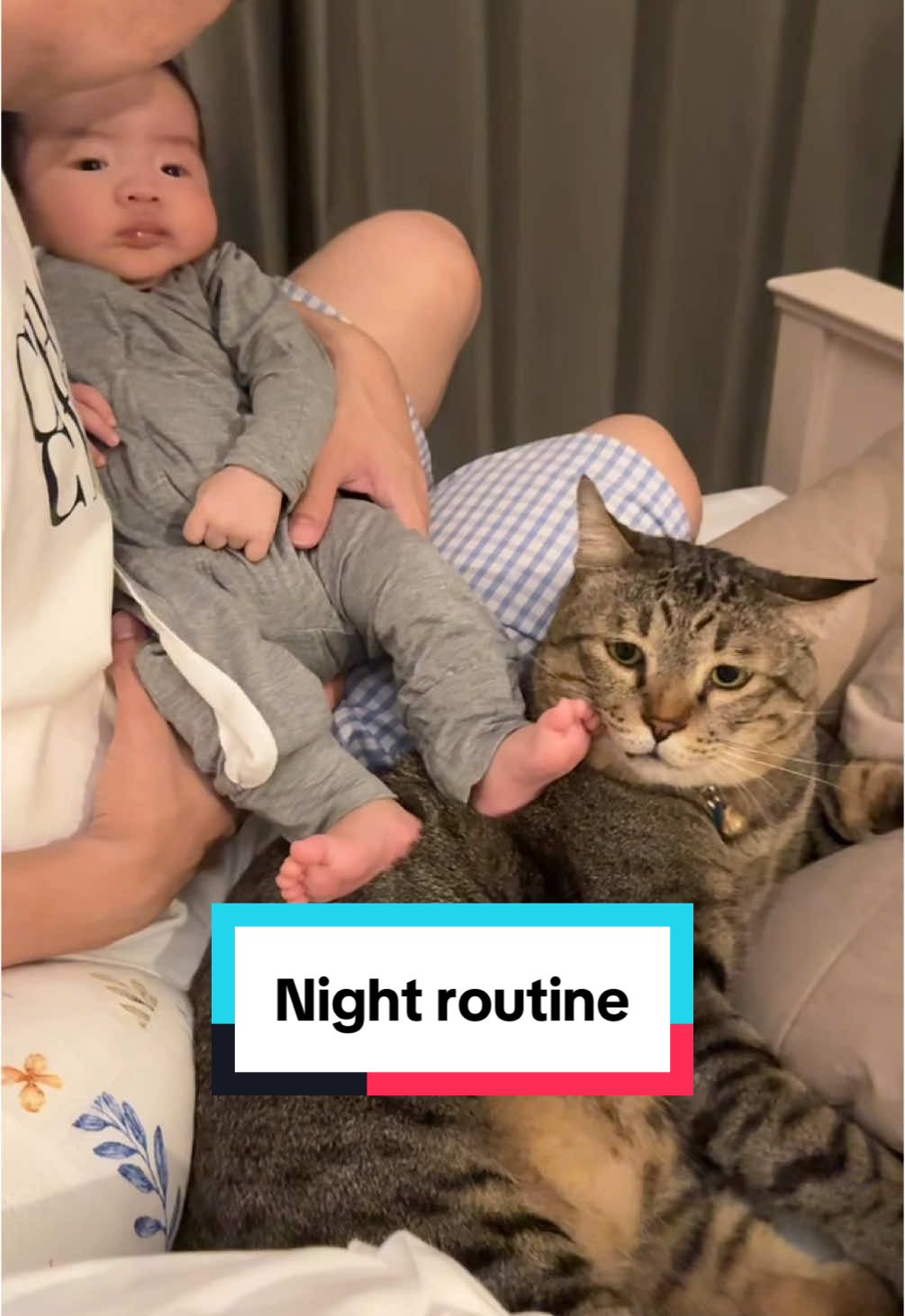 Night routine ของพี่ช้างและน้องมาคิณ #ช้างช้าง #pramycat 