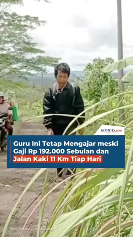 Supandi, seorang guru honorer di Kabupaten Sukabumi, Jawa Barat, tetap mengajar meski digaji Rp 192.000 tiap bulan. Keikhlasannya mengajar tak surut walau dia juga harus berjalan kaki 11 kilometer dari rumah ke sekolah. 🎥 : @info.jampangtengah  Kreatif: Rahma Tika Produser: Reza Kurnia Darmawan / #guru #guruhonorer #sukabumi #humaniora #gaji #mengajar ##read #fyp 