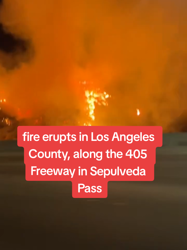 Replying to @aplgeek fire erupts in Los Angeles County, along the 405 Freeway in Sepulveda Pass #wildfire #wildfiretok #californiafire #LosAngeleswildfire 