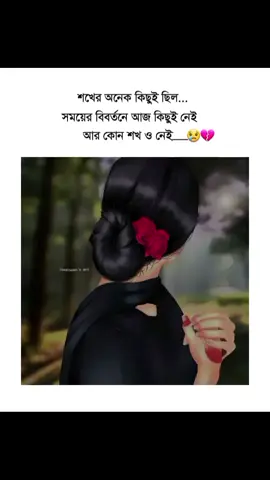 সময়ের বিবর্তনে সব শখ হারিয়ে গেছে😅😅