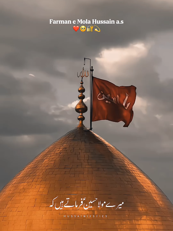 Beshak 🥹❤️☝🏻 . . . . . #yarasoolallah #yaali #aliunwaliullah #fypツ #salamyahussain #karbala #aliwaly #rajab #yaalimadad #islamic_video #whatsappstatus #unfreezemyacount 