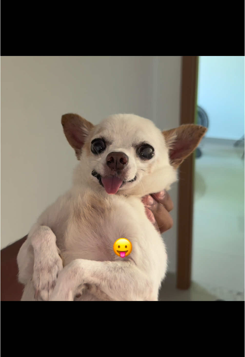 😛😛😛😛