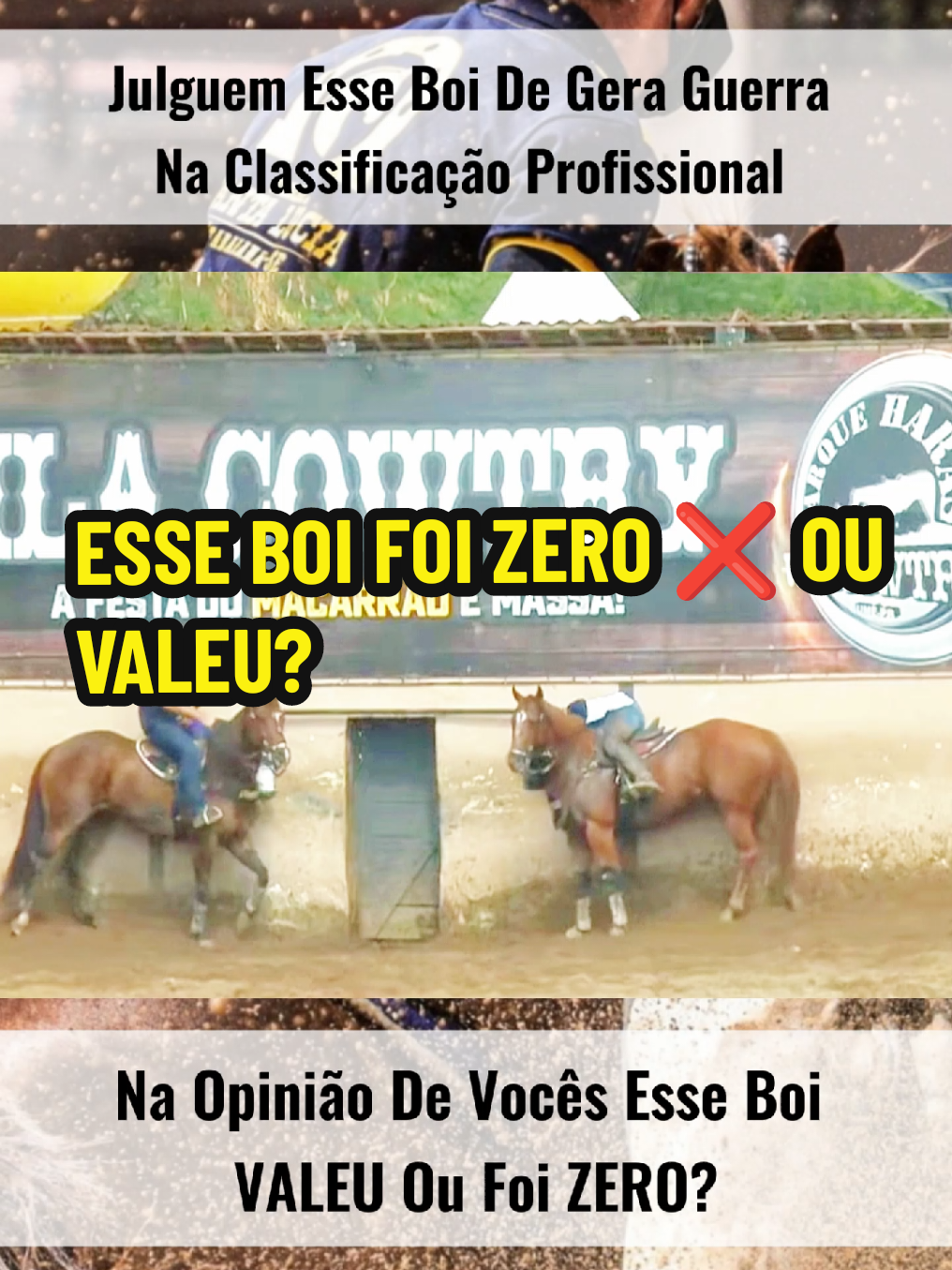 Qual a opinião de Vocês? #boi #vaqueiro #vaquejada #cavalo #zero #valeu 