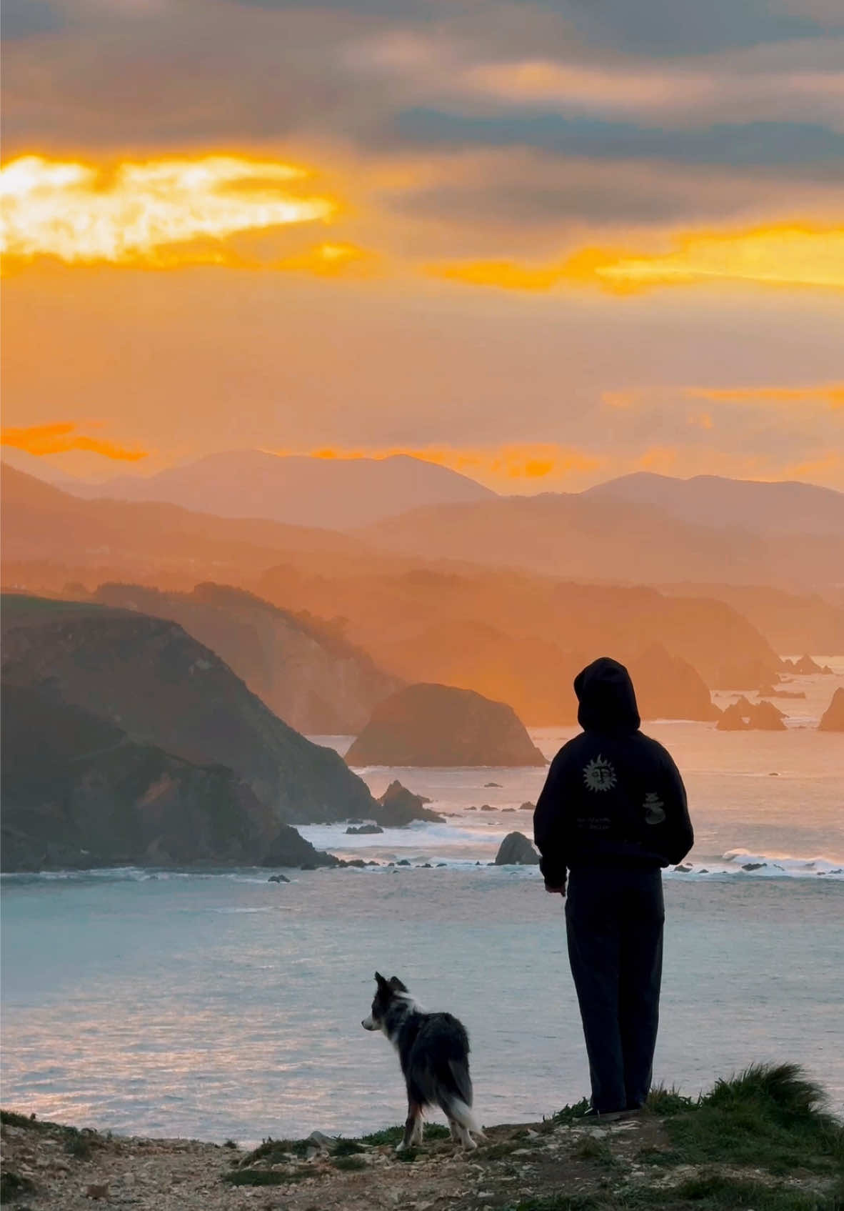 Hoy es un regalo ✨ Es curioso pensar como cambia nuestra visión del mundo cuando crecemos. De niños, siempre vemos la parte positiva de las cosas, siempre decimos si, a todos los planes y aventuras, no existen los contratiempos.  En algún punto de nuestra vida adulta perdemos esta perspectiva. Empezamos a darle más importancia a las cosas negativas, nos preocupamos por cosas que no sabemos siquiera si ocurrirán y buscamos mil excusas… Tenemos que esforzarnos por mantener esa actitud y recuperar a ese niño que todos llevamos dentro, el que se adaptaba a todo y veía la vida siempre como una oportunidad de descubrir el mundo. Debemos encontrar la parte positiva a las cosas, no darle tantas vueltas a los problemas y dejar de agobiarnos por situaciones futuras, que muchas, nunca llegan a cumplirse. Uno de los psicólogos más importantes de la historia, Williams James, dijo:  “Eres tú con tu forma de hablarte cuando te caes el que determina si te has caído en un bache o en una tumba.” Hoy es un regalo, con sus buenos y malos momentos, aprovechémoslo ❤️ #viajarconperro #miperroyyo #amorperruno 