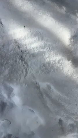 #d #dinitial #viral #snow #fy #fyp #Love #crush #tagher #taghim