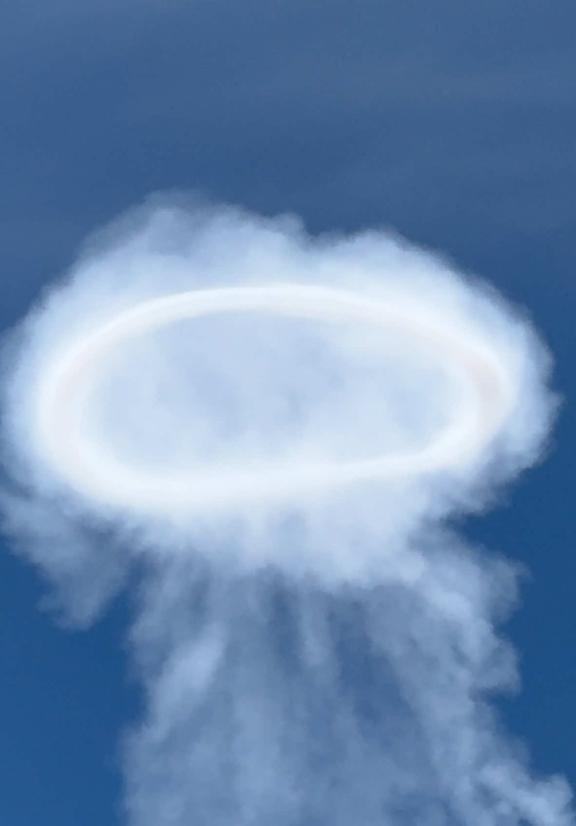 🌋 Gli anelli di gas sull’Etna: uno spettacolo ipnotico 🌀! . Hai mai visto un vulcano “soffiare” cerchi di gas perfetti? Questo incredibile fenomeno è uno dei tanti regali che l’Etna, il vulcano attivo più alto d’Europa, ci offre. 🔥 Dalla Sicilia, direttamente al tuo schermo, la magia del nostro pianeta ! 🌍 📍 Etna, Sicilia 🔎 Se ami la natura, i vulcani e la scienza, salva e condividi questo video! . . . #Etna #Sicilia #Volcano #AnellidiGas #GasRings #EtnaEruption #NatureLovers #AmazingNature #DiscoverSicily #Vulcano #EtnaLovers #EtnaNord #EtnaSicily #NaturalWonder #Vulcanology #EarthScience #TravelToSicily #ExploringNature #AdventureTime #IncredibleItaly #ItaliaDaScoprire #SicilyExperience #tiktoktravel #TravelGoals #TikTokItalia