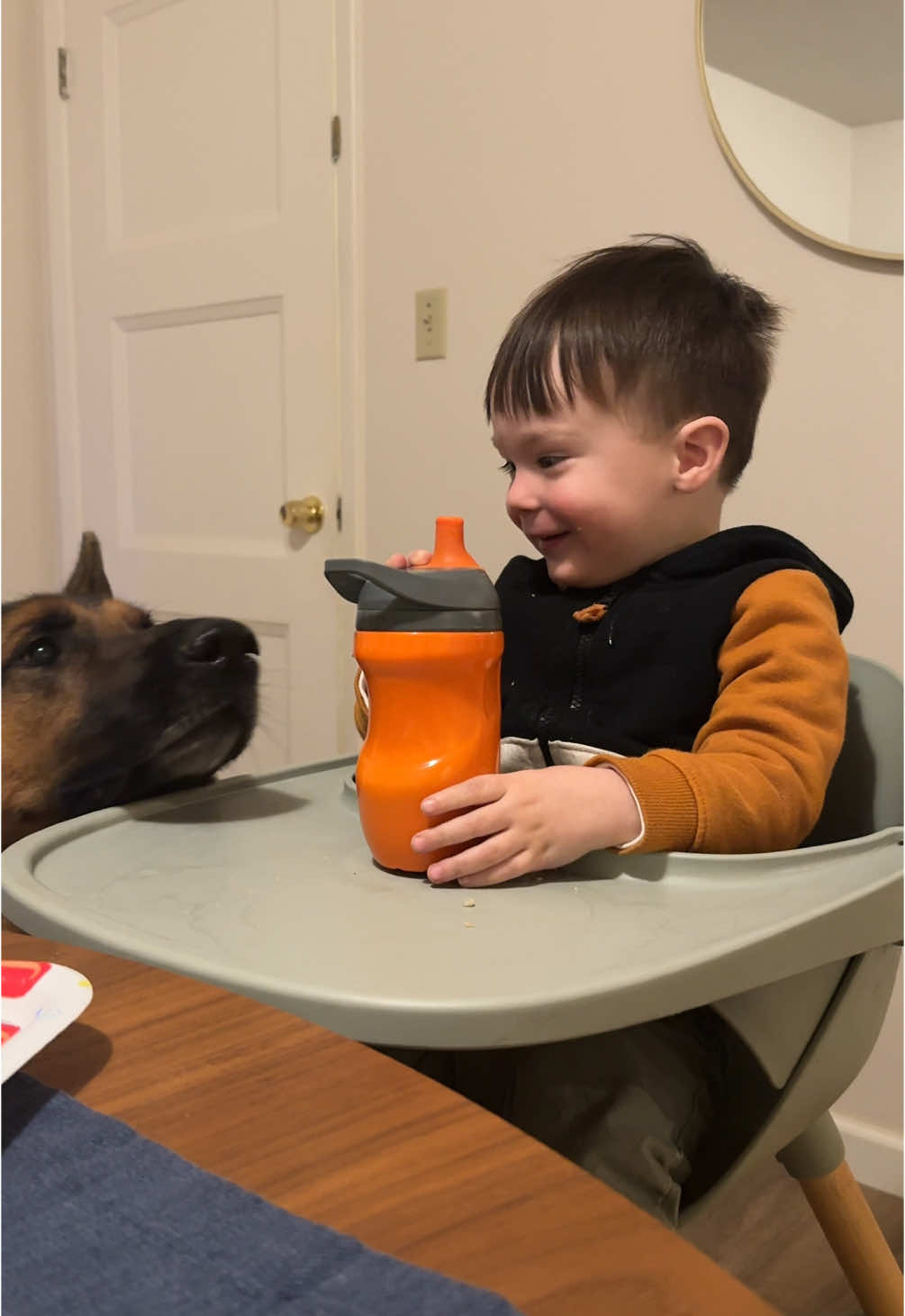 Dinner and some zoomies? Same time every night 🫡 #toddlersoftiktok #toddlerboy #toddler #germanshepherd #gsd #toddlersanddogs 
