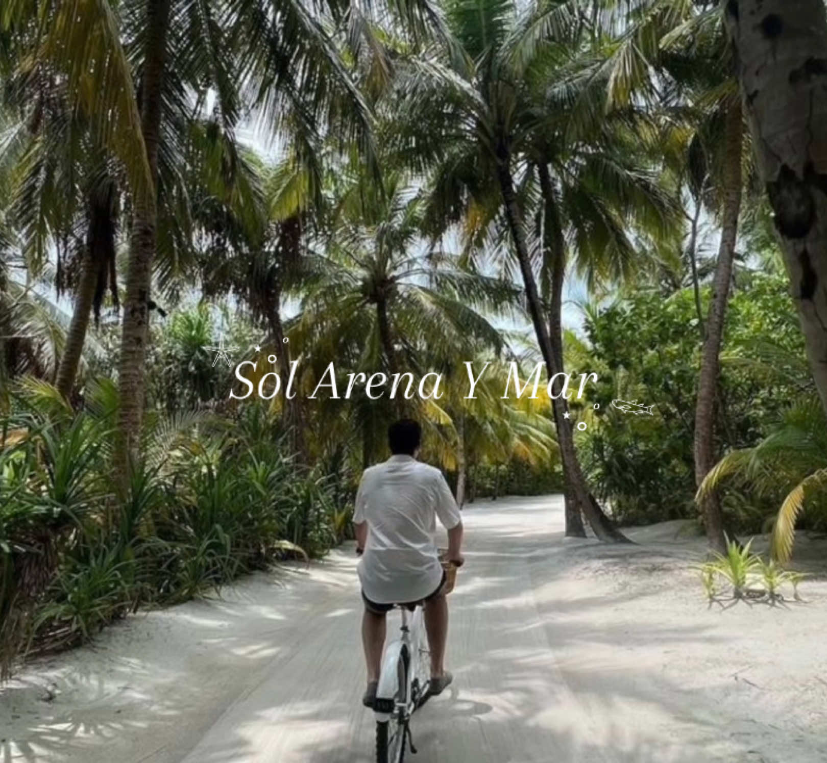 sol, arena y mar es todo lo que quiero ahora 🐚 #luismiguel #luismi #elsoldemexico #solarenaymar #amarteesunplacer #Aesthetic #luismiquette #fyp #parati #Viral 