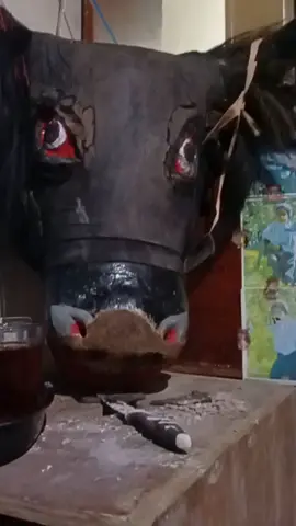salah satu banteng tertua di paguyuban kami (mbah bayu)  #bantengnuswantara  #wahyujoyokusumo  #uriuribudoyojawi 