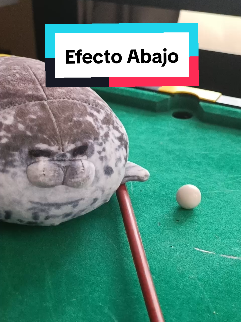 🗣️ Perfecto ‼️🔥🦭 #foca #8pool #ikar8bp #fyp #peluche 