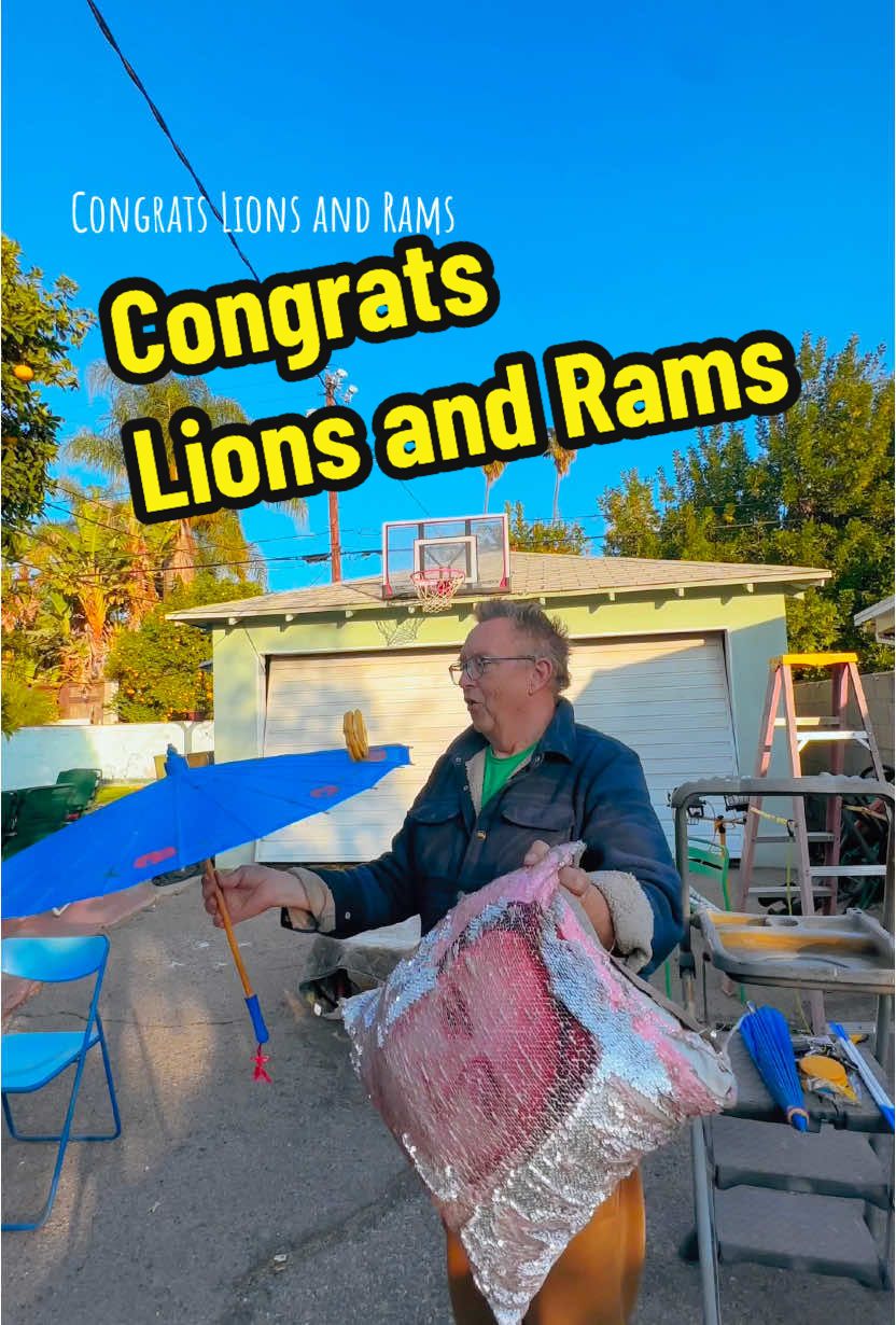 Congratulations Lions and Rams. #moonpie #detroitlions #larams #football #circus #cage #basketball 