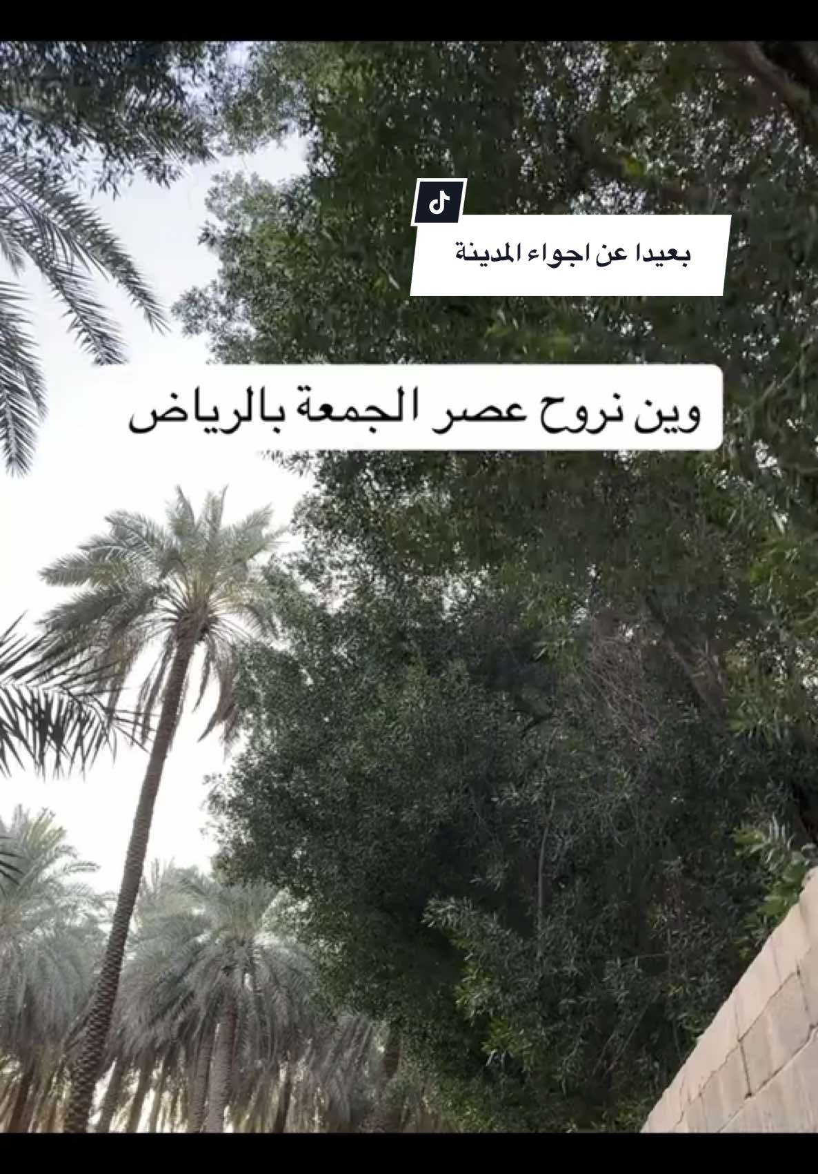 📍مزرعـة بالدرعية لقطف الورقيات مفتوحه للجميع  يمنع الجلوس او الافتراش مكان ينفع ممر  ممتعه للعوائل والصغار  تمنيت تكون فيه اهتمامات بسيطه  #الدرعية#البجيري#اكسبلور#الشعب_الصيني_ماله_حل😂😂#مزرعة_صوفي#riydahseason#2025#السمحانية#وين_جماعتي_الكفو👈#وين_نروح_بالرياض#سوليتير#جديد_الرياض#قطر#دبي#ابوظبي#الخبر