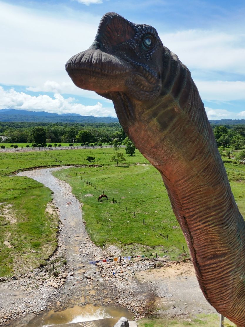 Cochabamba Bolivia #tropicodecochabamba #shinahota DIN KONG RESORT PARK 