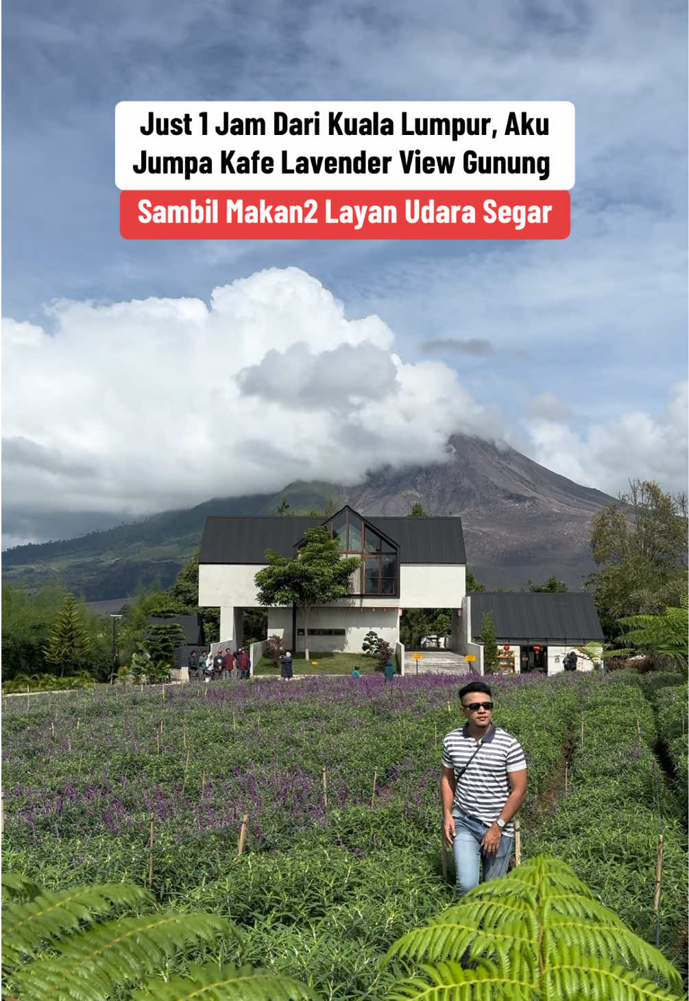 Kafe Lavender View Gunung , Siapa Nak Join Trip Medan ? Komen NAK  📍Serune Cafe  #fyp #tempatmenarik #cafe #kafe #mountain #lavender #garden #Foodie #food #makan #rumahmakan 