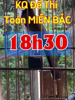 Bạn đã có kq bài thi toán chưa?