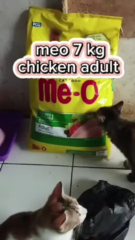 makanan harian anabuls meo dry food 7 kg sedang promo#me_o #drayfood #kucingsehatbuluhalus #meodryfood #pakankucing #meo7kg #meoadult #meokitten @KucingJalanan65 