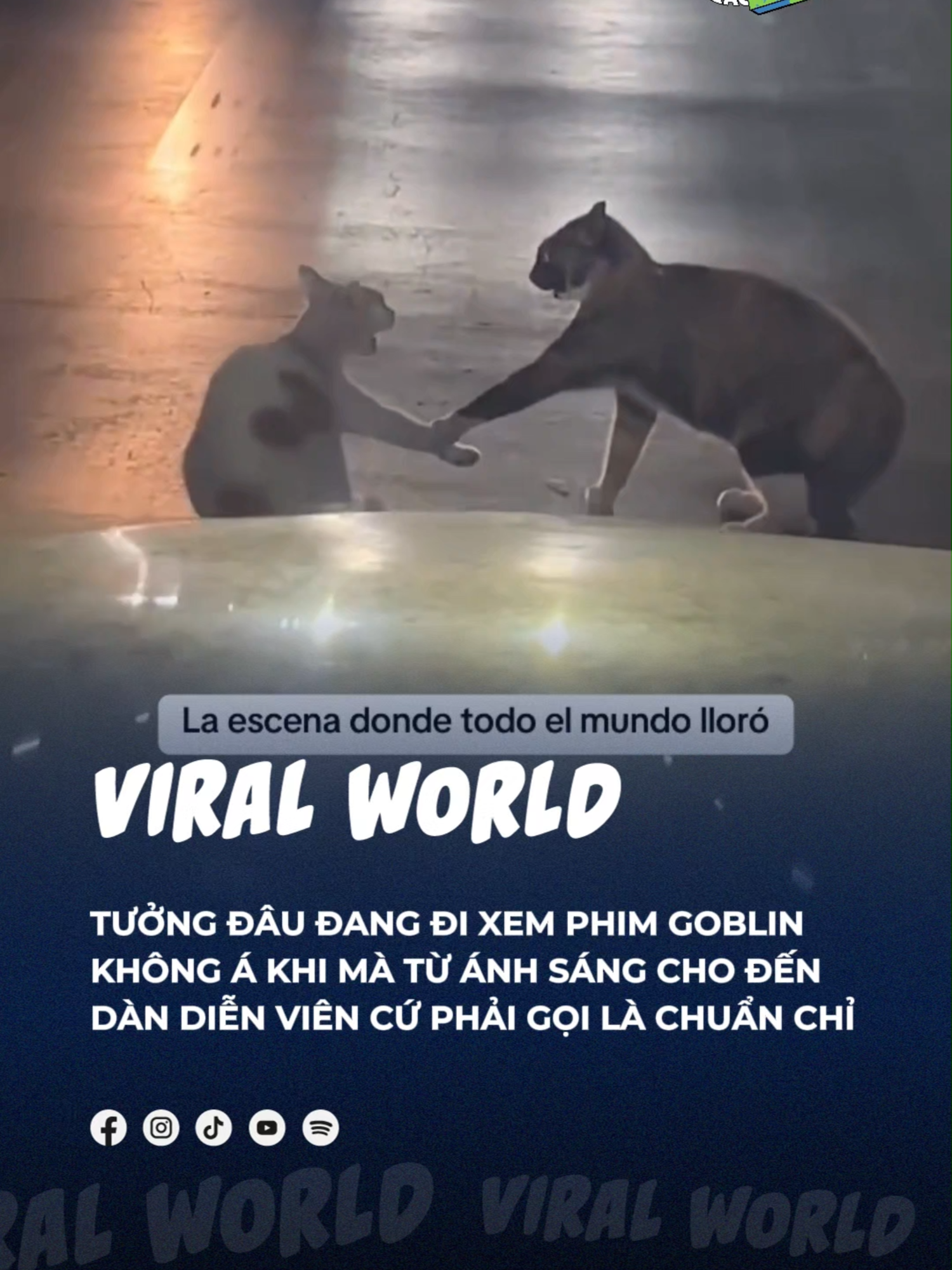 Phân cảnh bị thiếu đây sao =))) #beatviralworld #beatnetwork #bnetwork #beatvn #beatoflife