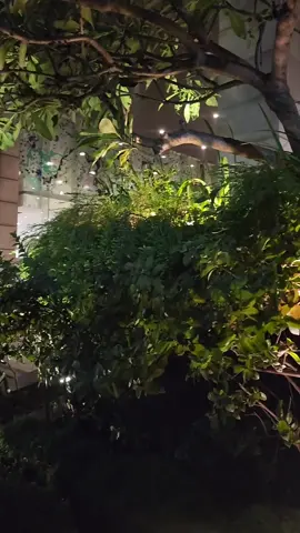 ❤️‍🩹❤️‍🩹 #foryou #dhanmondi #dhaka #viralvideo #lemeridienhotel #viral 