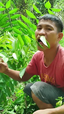 limbas mukbang 🥰 #hastags #highlights #mukbangvideo #followers #viewers #viraltiktok 