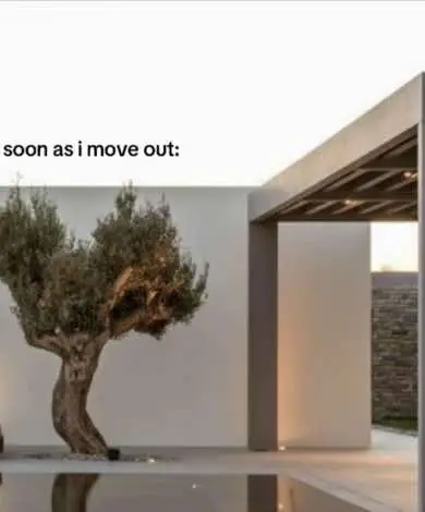 minimalistic | #futureliving #mansion #classy #elegant #chic #rich #luxury #modern #foryouu #fashion #parati #xcyzba #girlythings #blowthisup #femenineenergy #fyp #women #future #architecture 