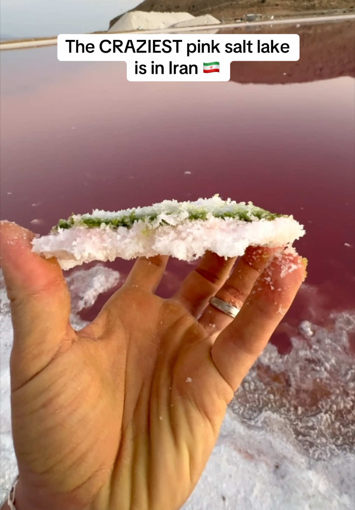 The Pink Salt Lake of Iran 🇮🇷  During my 2nd day as an American traveling around this country my tour guide Ehsan and I went to the Pink Lake in Shiraz and it was a mind boggling natural phenomenon. Follow for more videos around Iran and the rest of the world 🌏  #iran #shiraz #pinklake #saltlakecity