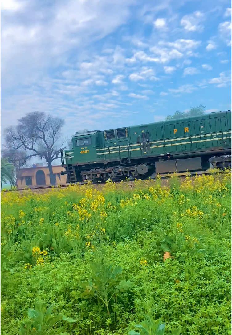 Beautiful Train Drone Shots Passing from Green Fields #talhabhatti #viralvideo #trending #foryou #droneshots 