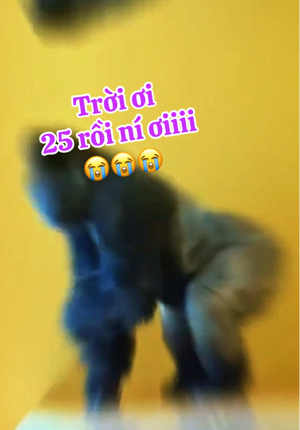 Trời ơi 25 rồi ní ơiiii 😭😭😭😭