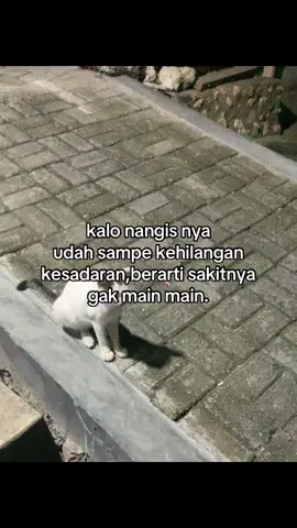 #untukkamu 