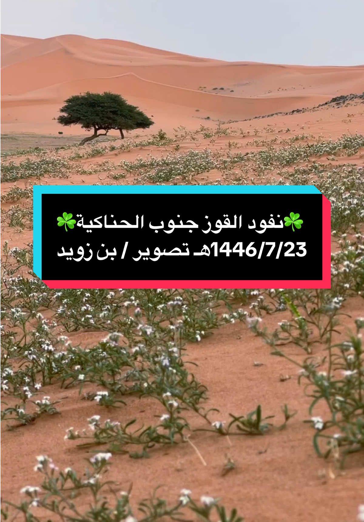 نفود القوز شرق #المدينه_المنورة 1446هـ