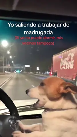 #Meme #MemeCut #memenatal #CapCut #madrugar #trocasperronas #fordtrucks #trucks #ford  #1028mercadito😎🚛🌪️ #trabajacion🤣🤣😂😂😂 #paratiiiiiiiiiiiiiiiiiiiiiiiiiiiiiii #viral #parati