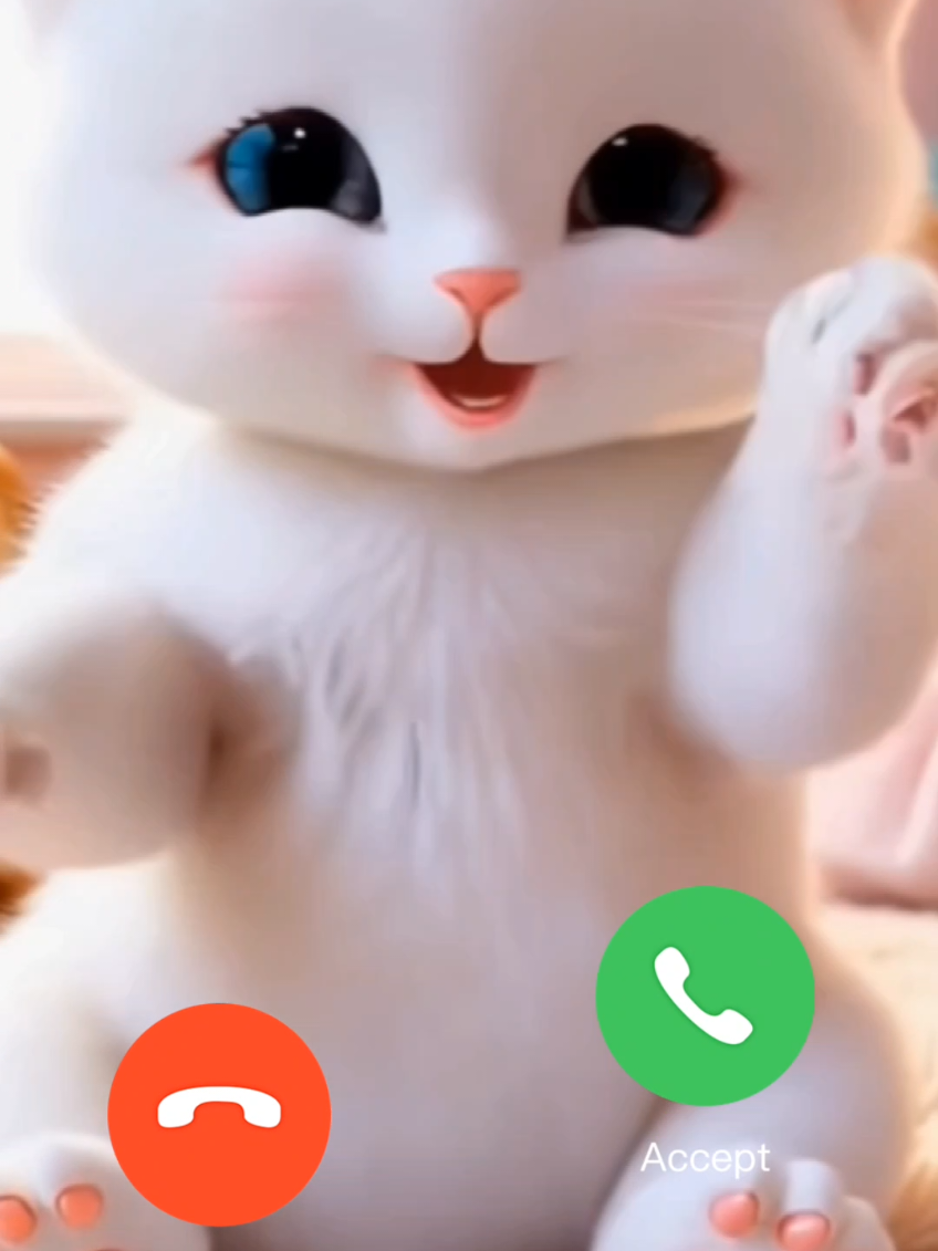 Cute Cat CALLING you 🔔📞#CapCut #cats #drtomfun #catlover #funny #cat #funnycat #funnyvideos 