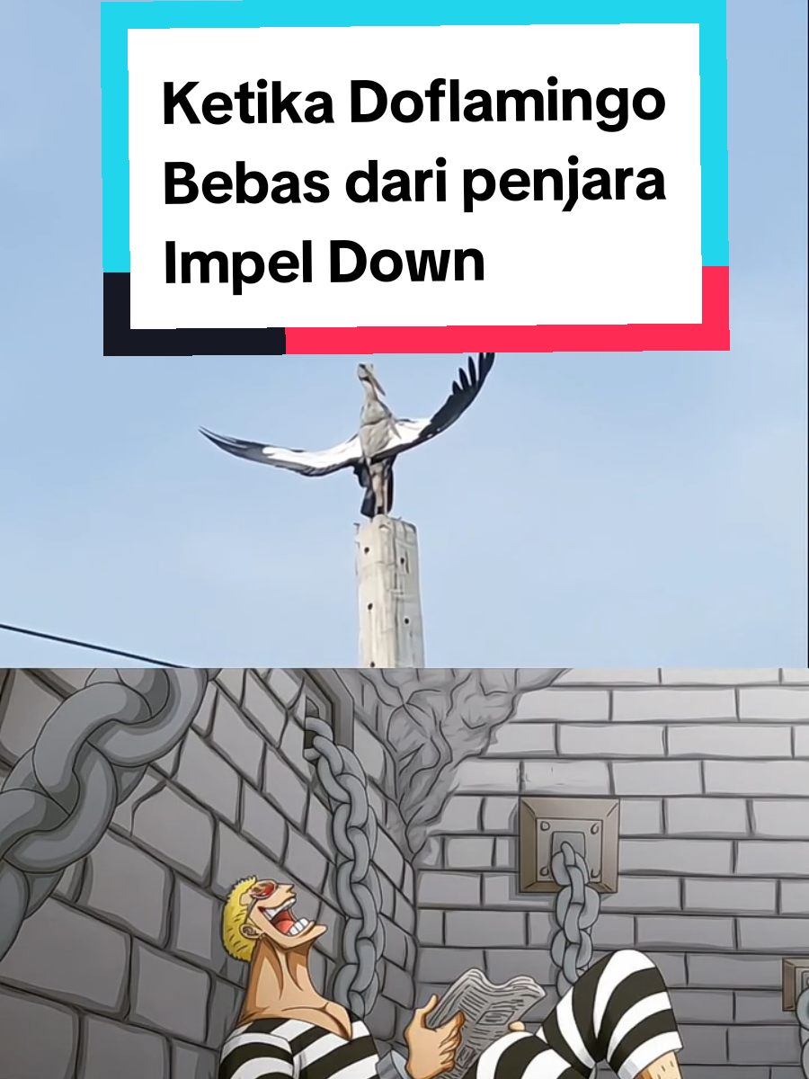 Langsung selebrasi #doflamingo #impeldown #doflamingodonquixote 