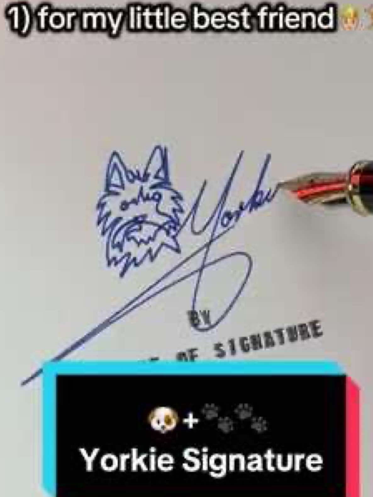 Yorkie Signature. For my little friend. Wanna See more of These Designs? #calligraphy #signatures #signatureideas #dog #yorkie #logo #design #Y #idea #inspiration #creative #sweet #bestfriend #pen #art 