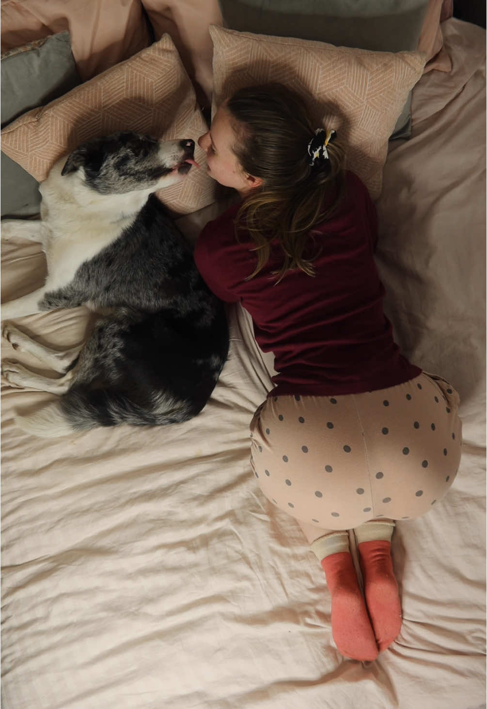 Thinking about you all on this very stormy day. Keeping warm indoors with my dog Colbie. #bordercollie #dogsoftiktok #dog 