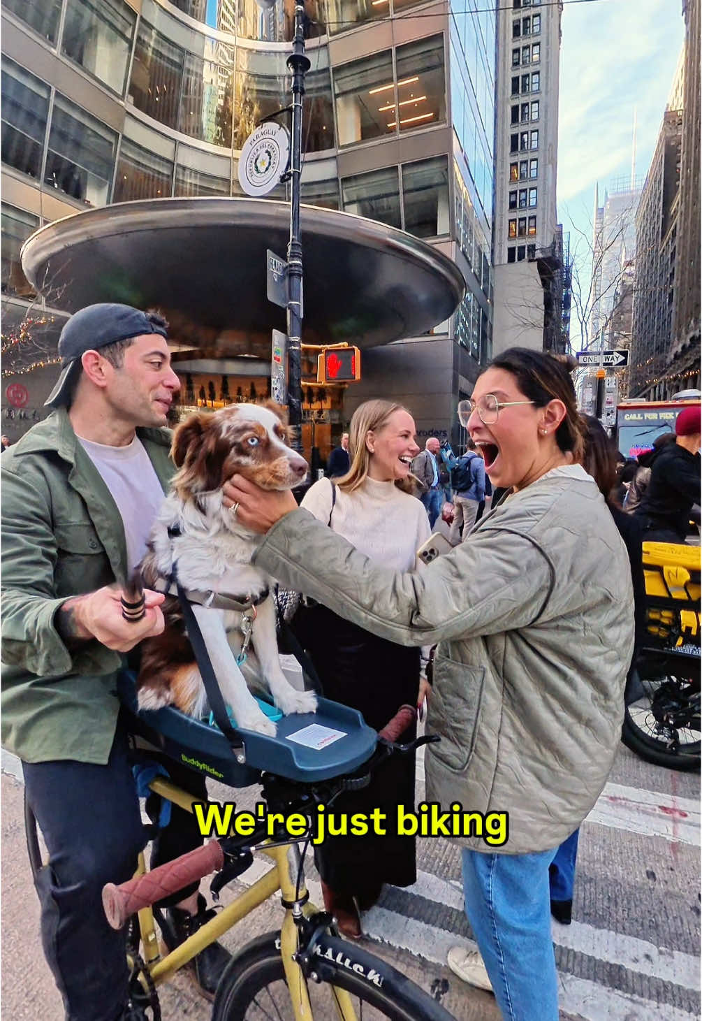 Kaido making people smile by just existing #dogs #🐶 #😂 #dogsoftiktok #nycdogs 