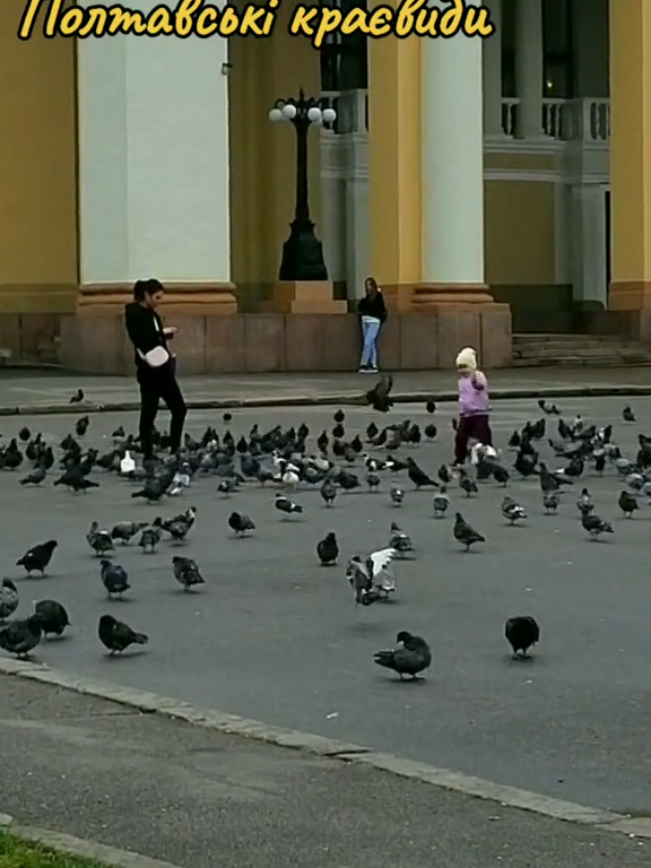 #ВцейДень #Полтава #Україна #новини #Poltava #Ukraine #News #Украина #Новости #PoltavaToday 