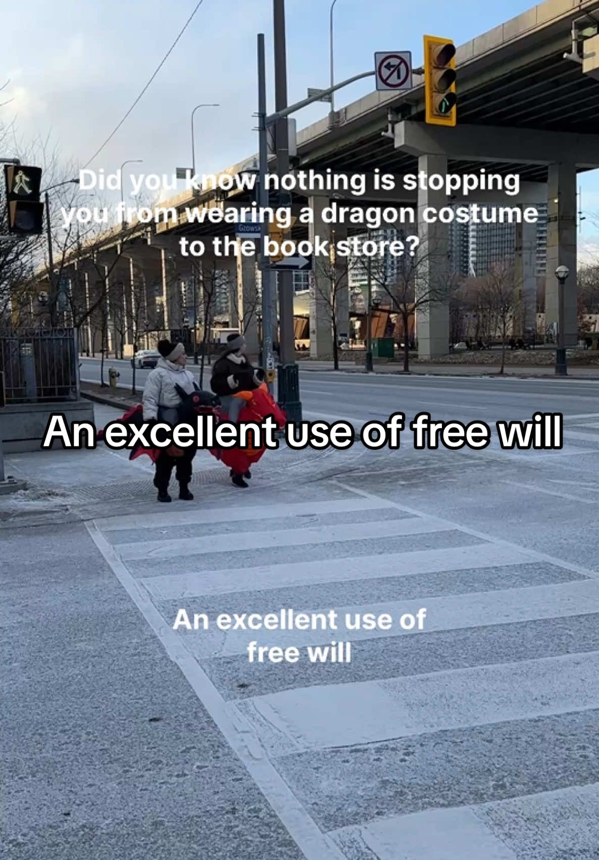 Never forget you can use your free will at anytime to make life more fun  #onyxstorm #bookshopping #freewill @Quizmaster Jess | Trivia Host 