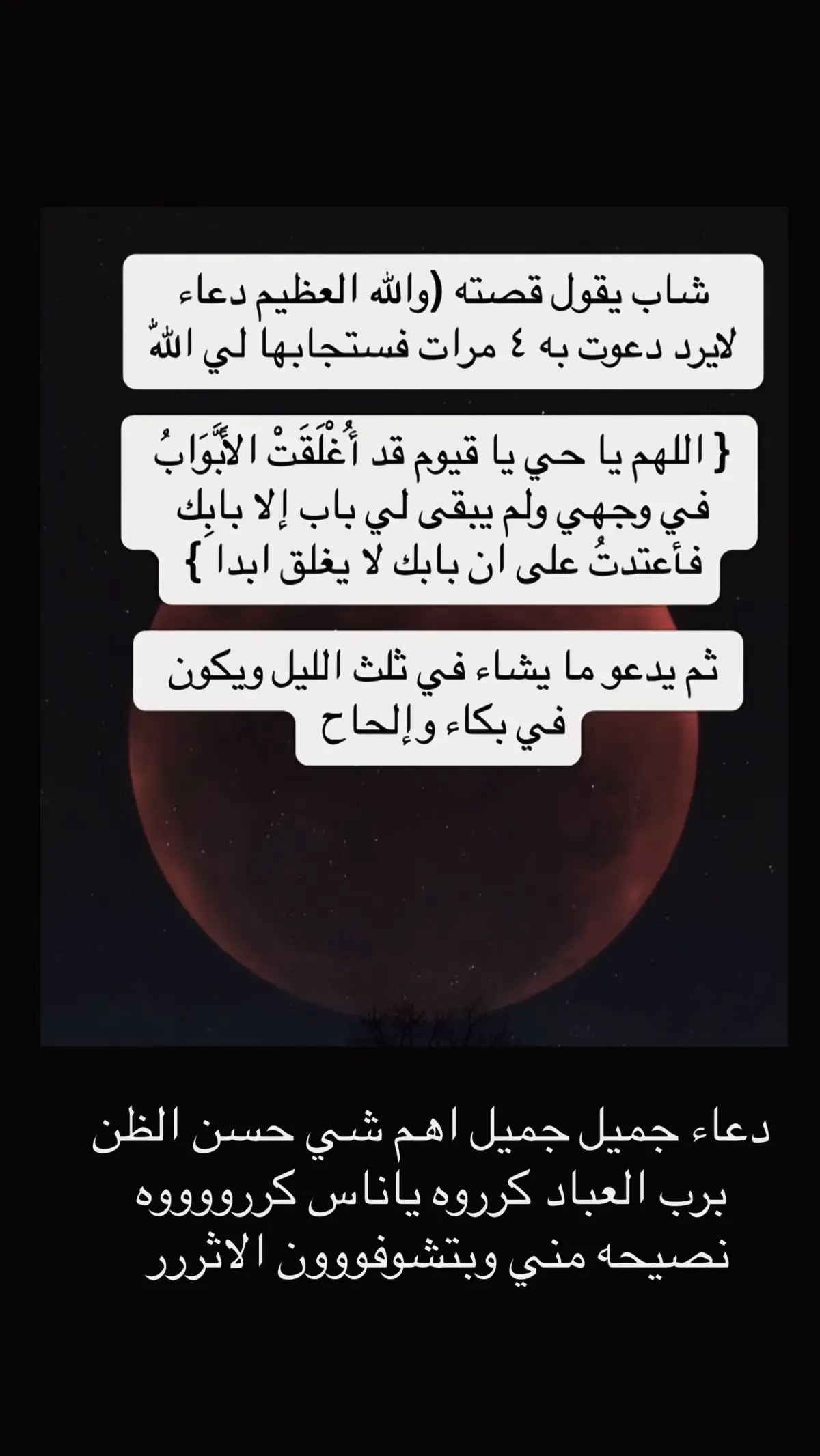 #يااااااارب_وما_خاب_من_دعاك🤲🏻🌹♥️ 